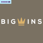 Big Wins Logo GMPR